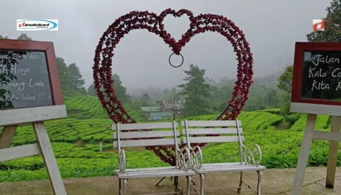 Warpat Spot Selfie Puncak Pass, Pemandangan Alam di Cisarua Bogor