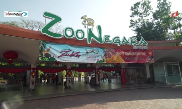 Zoo Negara Malaysia, Menintip Daya tarik Beberapa ribu Hewan 