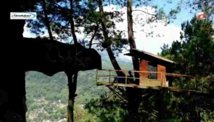 Kegiatan Wisata yang Menarik Dilaksanakan di Omah Kayu