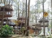 Kopeng Treetop Adventure Park, Nikmati Daya tarik Wisata Alam Terbaik di Semarang