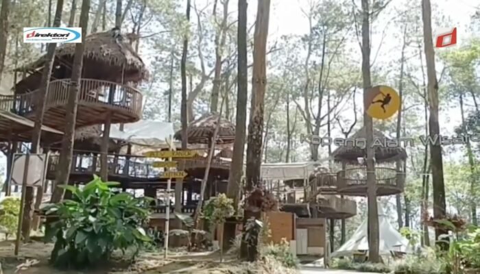 Kopeng Treetop Adventure Park, Nikmati Daya tarik Wisata Alam Terbaik di Semarang