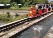 Menjelajahi Desa Wisata Cibuk Kidul: Wisata Mina Padi dengan Kereta Tengah Sawah