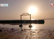 Pantai Cemara Wakatobi, Daya tarik Pantai Cantik dan Pemandangan Sunset yang Mempesona