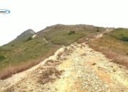 Sai Kung East Country Park: Keindahan Alam dan Aktivitas Outdoor di Hong Kong