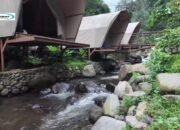 Taman Kopi Guntang: Glamping Sambil Menikmati Wisata Alam Gunung Putang