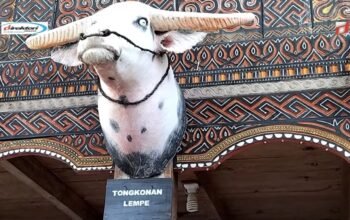 Tongkonan Lempe, Tujuan Wisata Alam di Toraja yang Berjulukan Negeri di Atas Awan