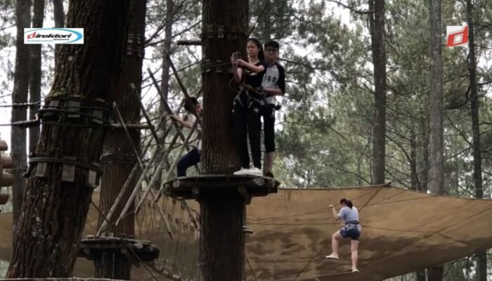 Bandung Treetop Adventure Park: Objek Wisata di Lembang