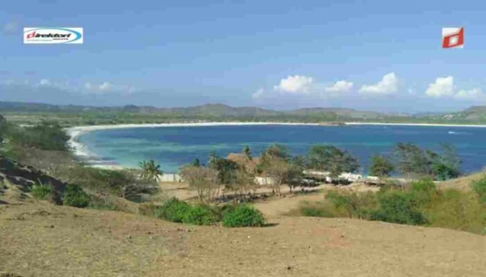 Keberlanjutan dan Pelestarian Lingkungan