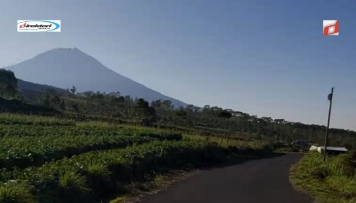 Menjelajahi Keindahan Kebun Teh Tambi dan Kebun Raya di Jawa Tengah