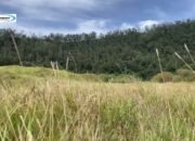 Menjelajahi Keindahan Padang Savana Dieng: Destinasi Wisata di Dieng Plateau