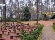 Orchid Forest Cikole: Perjalanan Menuju Keindahan Taman Anggrek di Indonesia