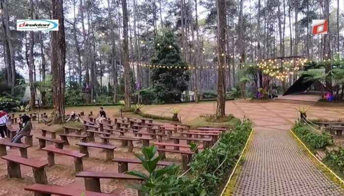 Orchid Forest Cikole: Perjalanan Menuju Keindahan Taman Anggrek di Indonesia