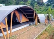 Petualangan Seru di Ciliwung Adventure Camp: Wisata Glamping di Bogor