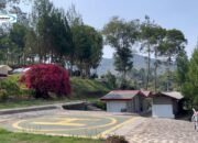 Pine Forest Camp: Tempat Camping Eksklusif di Lembang