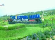 The Blooms Garden: Destinasi Wisata Taman Bunga Terbesar di Bali