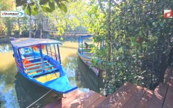 Wisata Mangrove Gununganyar: Taman Ekologi di Jawa Timur