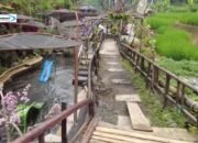 Wisata Umbalan Tanaka: Permata Tersembunyi di Jawa Timur