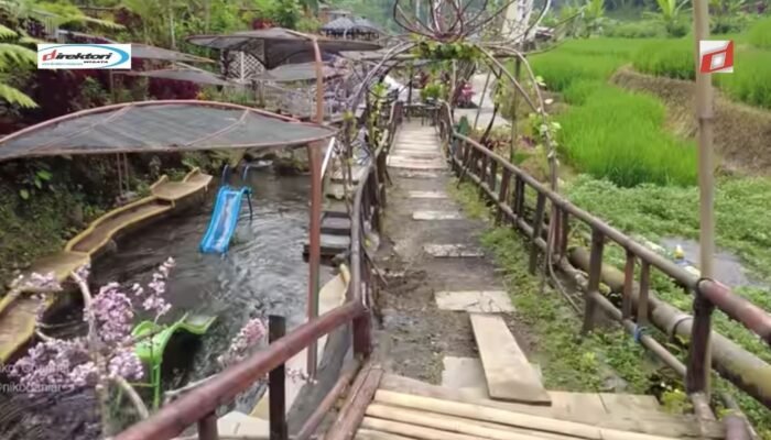 Wisata Umbalan Tanaka: Permata Tersembunyi di Jawa Timur