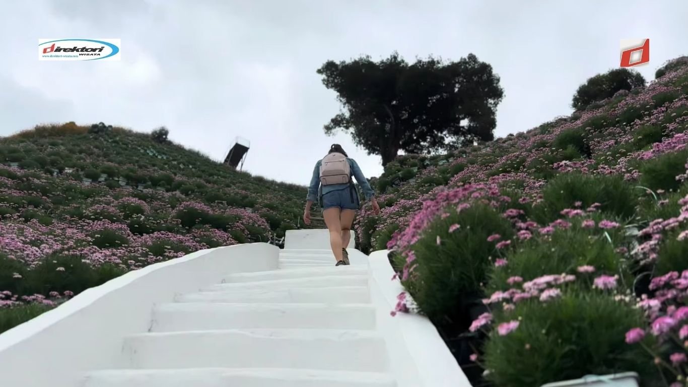 Cameron Highlands: Destinasi Wisata Alam Menarik di Malaysia