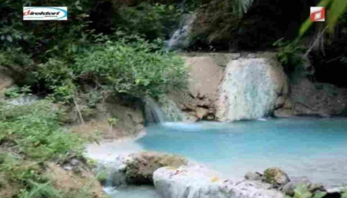 Flora dan Fauna di Sekitar Air Terjun Tesbatan