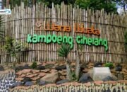 Menikmati Keindahan Alam di Wana Wisata Kampoeng Ciherang, Sumedang