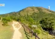 Tai Mo Shan Country Park: Destinasi Wisata Pendakian Menuju Puncak di Hong Kong