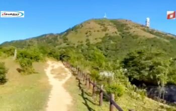 Tai Mo Shan Country Park: Destinasi Wisata Pendakian Menuju Puncak di Hong Kong