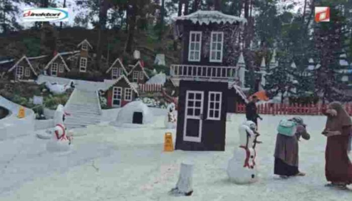 Taman Salju: Daya Tarik Utama