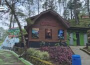The Lawu Park: Wisata Alam di Tawangmangu yang Punya Taman Salju