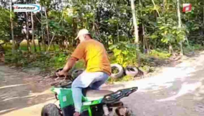 Aktivitas dan Wahana Seru