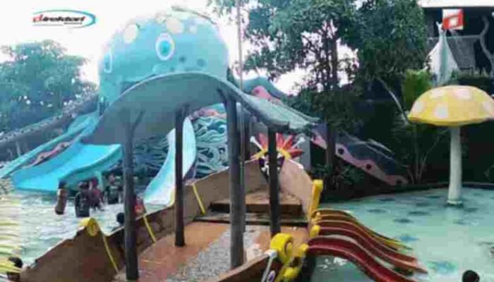 Atraksi Utama dan Aktivitas