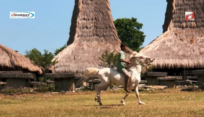 Pulau Sumba: Permata Terpendam Indonesia di Nusa Tenggara Timur
