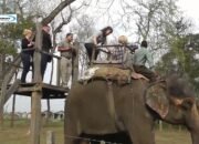 Taman Nasional Chitwan: Destinasi Wisata Alam di Nepal