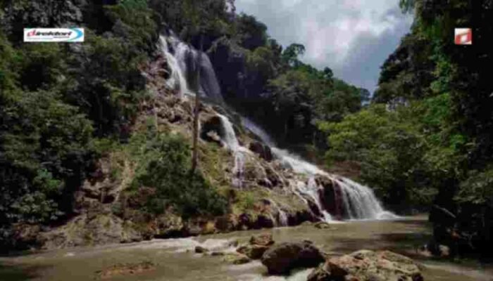 Kesimpulan dan Kesadaran Lingkungan