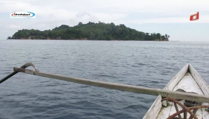 Pulau Pasoso: Eloknya Dunia Bawah Laut di Sulawesi Tengah