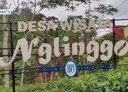 Kebun Teh Nglinggo Kulon Progo: Wisata Alam Jogja yang Sejuk dan Indah
