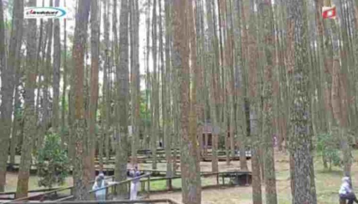 Keindahan Alam yang Menawarkan Pengalaman Unik