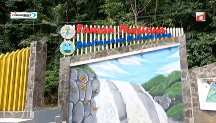 Taman Nasional Bantimurung: Pesona, Aktivitas Wisata dan Harga Tiketnya di Maros