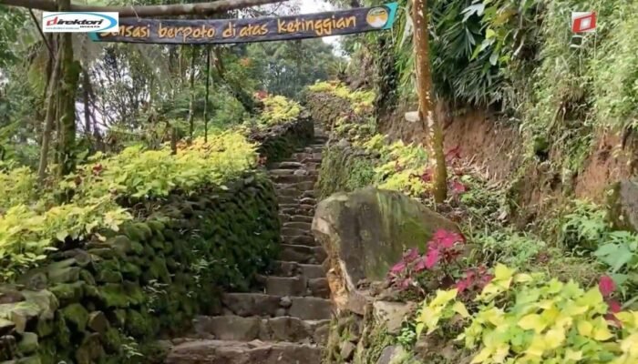 Aktivitas yang Bisa Dilakukan di Rangon Hills