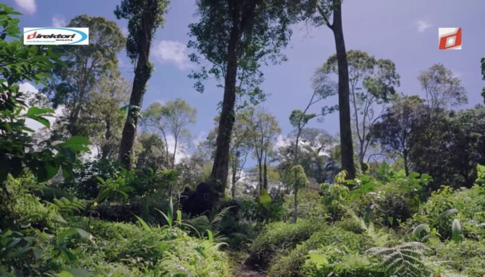 Bencana Alam dan Keselamatan