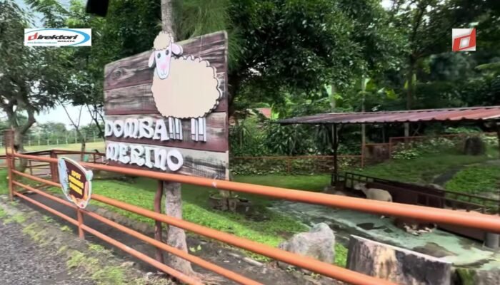 Jadwal Buka dan Waktu Terbaik untuk Berkunjung