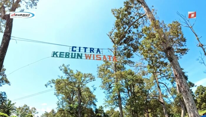 Mengenal Citra Kebun Wisata: Destinasi Liburan yang Memikat