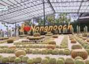Nong Nooch Tropical Garden: Taman dan Persahabatan Indonesia-Thailand di KBRI Bangkok