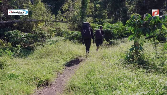 Pendakian Gunung Raung