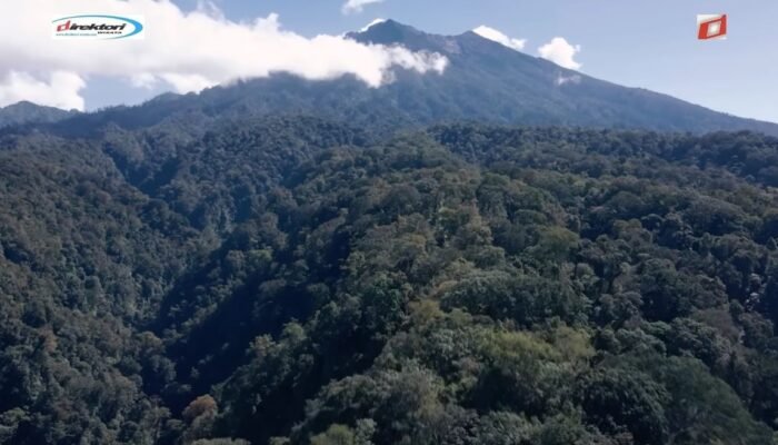 Sejarah Aktivitas Vulkanik