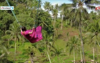 Wisata Ubud Bali Terbaru: Menyusuri Keindahan dan Budaya