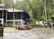 Bukit Timah Nature Reserve: Destinasi Wisata Alam Singapura