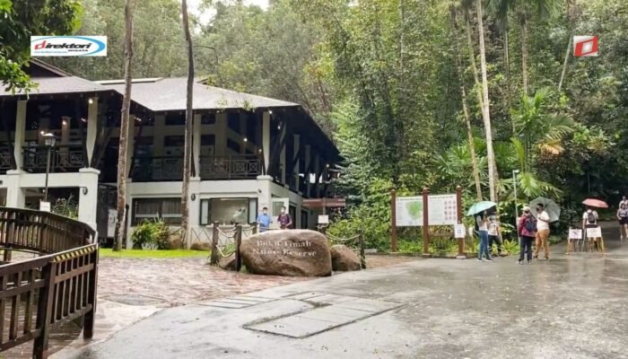 Bukit Timah Nature Reserve: Destinasi Wisata Alam Singapura