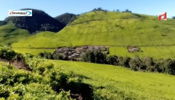 Cuaca dan Waktu Terbaik untuk Mendaki
