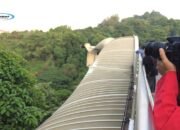 Menjelajahi Henderson Waves: Jembatan Tertinggi Sambil Wisata Alam Singapura Gratis yang Menakjubkan